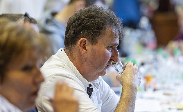 Švestek je letos hodně, v kraji slivovici zaslíbeném však scházejí páleničáři