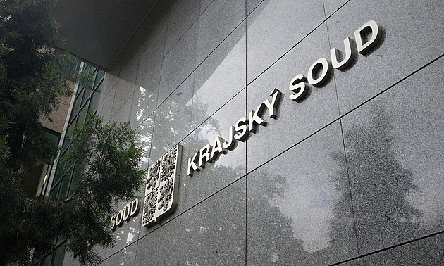 Matku otrávil metanolem kvůli tíživé situaci, přiznal u soudu. Inspiroval ho film