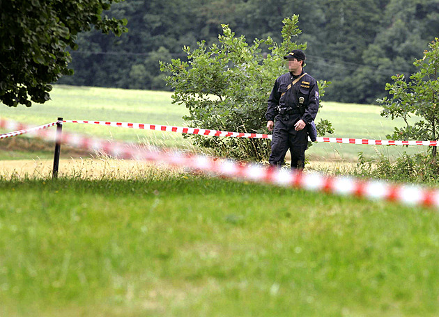 Trestné činnosti mezi policisty ubylo. Případů přitom inspekce prověřuje víc