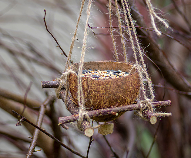 Krmení ptáků není jen o semínkách. Tyto věci v krmítku opravdu ocení