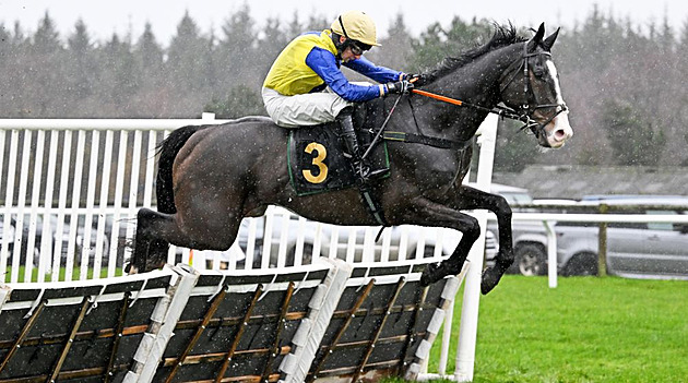 Naprostý outsider šokoval britské dostihy. V Exeteru vyhrál kůň s kurzem 300:1