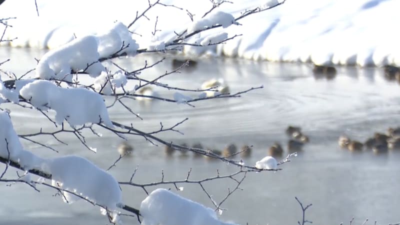 Nová VÝSTRAHA před mrazy: Mapa ukazuje krizová místa Česka. Hrozí omrzliny