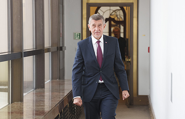 ANO si na volebním sněmu zvolí vedení. Babiš ani Havlíček nemají soupeře