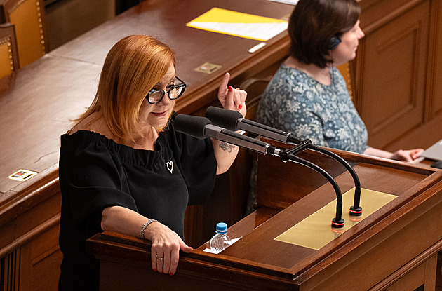 Porušujete zákon o 64 miliard, vytýká vládě opozice. Vyčítá jí i škrty u obrany