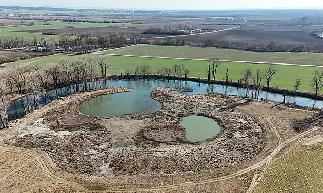 Rameno Moravy je po úpravách plné vody. Má chránit před povodněmi, objeví se ryby