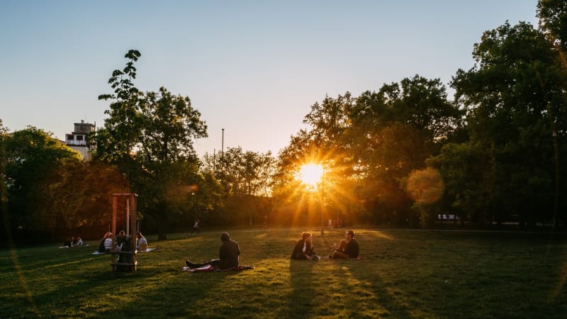 Jaro definitivně začalo. Přináší však nebezpečí: MAPA ukazuje, kde zpozornět na pyl a klíšťata