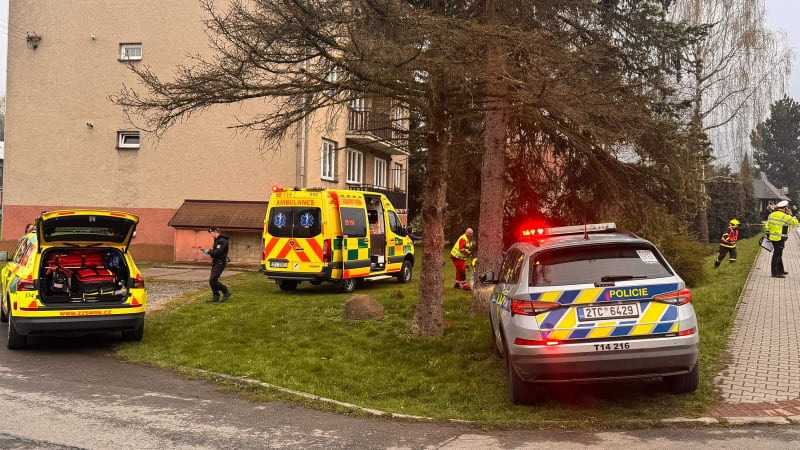 Opilá řidička na Frýdecko-Místecku srazila dvě dívky. Na útěku pak přežila střet s vlakem