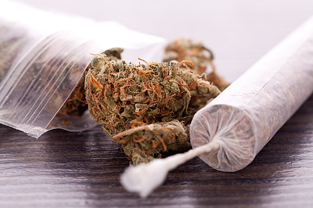 Marihuana uklidňuje méně, než čekáme. Studie odhalila zvýšený ranní kortizol